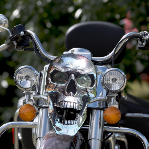🎃Halloween Pre-Sale 50%OFF🎃Motorcycle Skull Headlight Universal Headlight LED Motorcycle